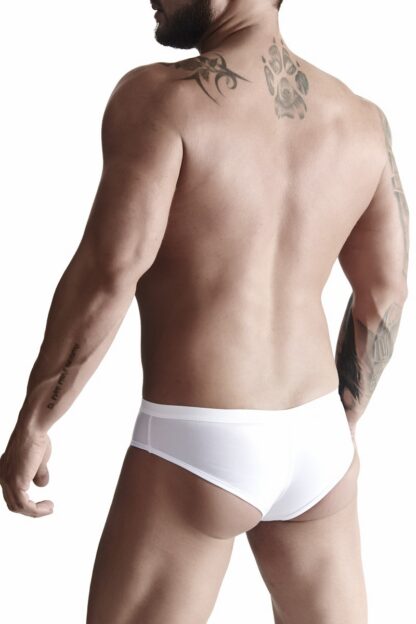 Briefs - Image 4