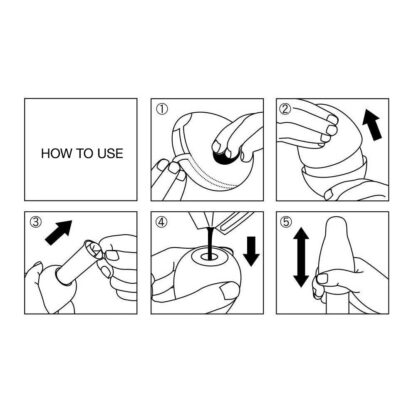Egg - Wonder - Image 16