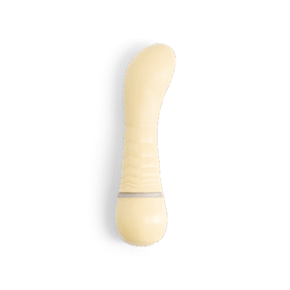 The Vibrator and Plush Case - Image 3