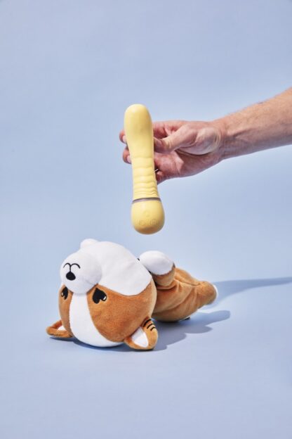The Vibrator and Plush Case - Image 4