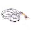 Bird Cage - Chastity Cage - Image 2