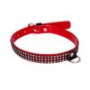 Collar with crystals for her Red Vegan Collection