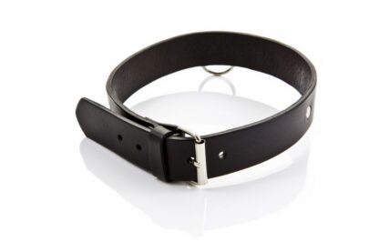 Classic collar for him Classic Collection - Image 2