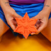 Starsi - Image 4