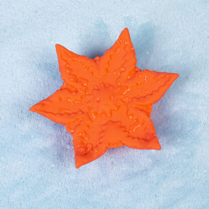 Starsi - Image 3