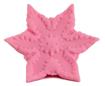 Starsi - Image 2