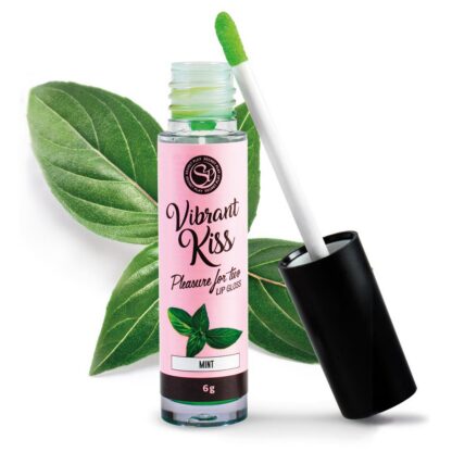 Lip Gloss Vibrant Kiss