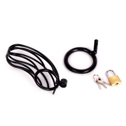 Bird Cage - Chastity Cage - Image 8