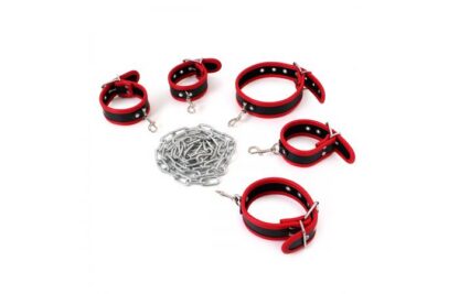 Body Restraints Set